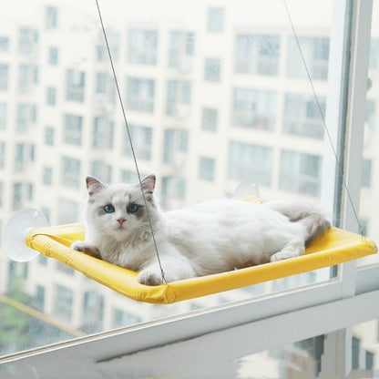 Windows Hang Cat Bed